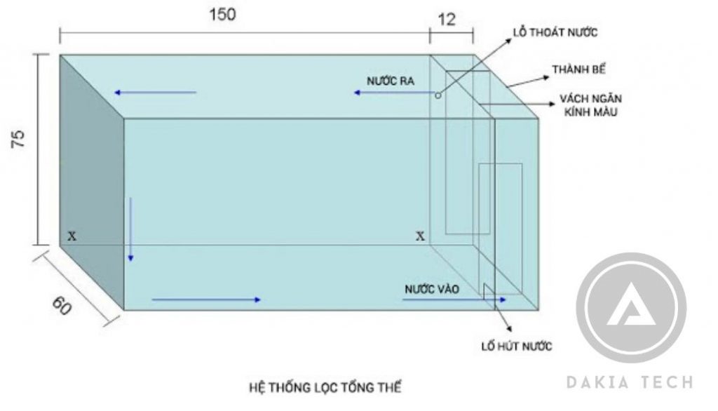 Cấu tạo hồ cá cảnh