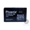 Ắc quy Phoenix 12V-12Ah TS12120 