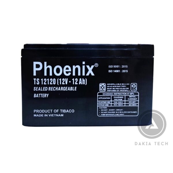 Ắc quy Phoenix 12V-12Ah TS12120 