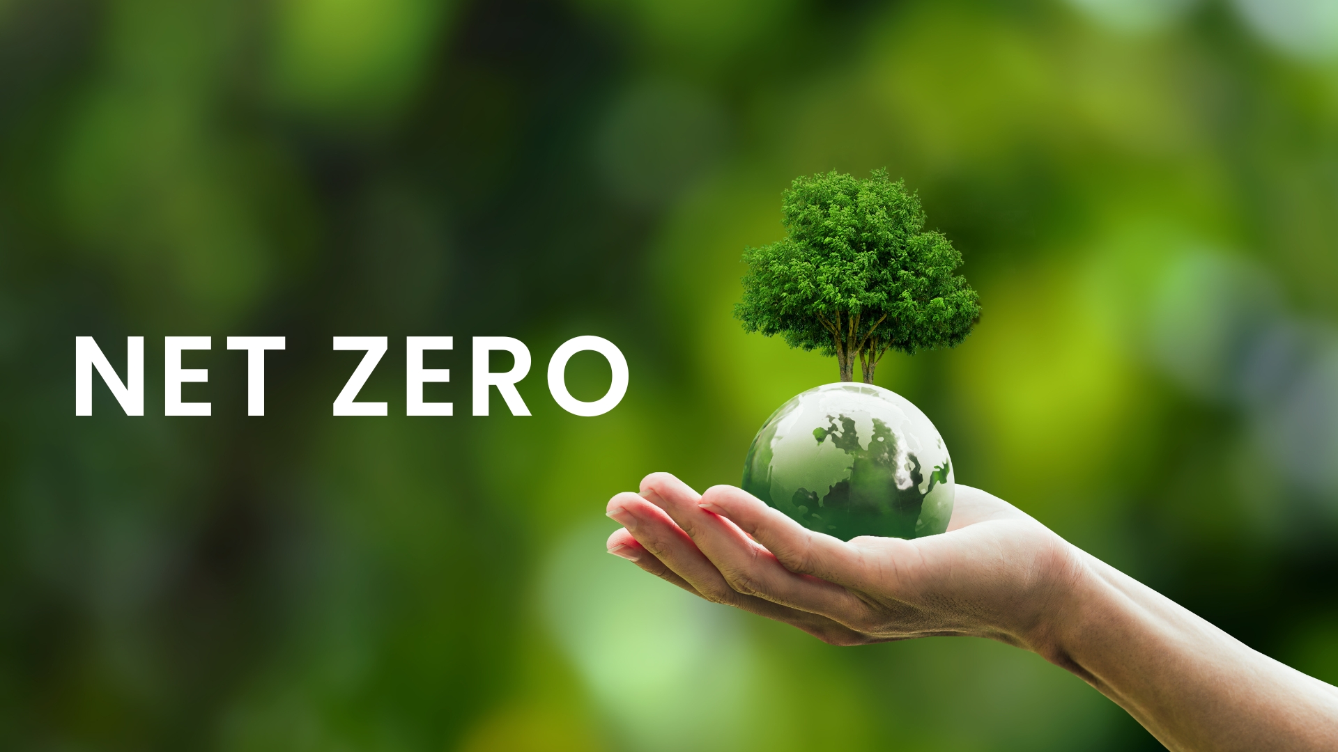NET ZERO - Định Hướng Tương Lai Chống Biến Đổi Khí Hậu