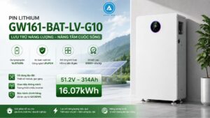 Pin Lithium GoodWe 51.2V 314Ah GW16.1-BAT-LV-G10
